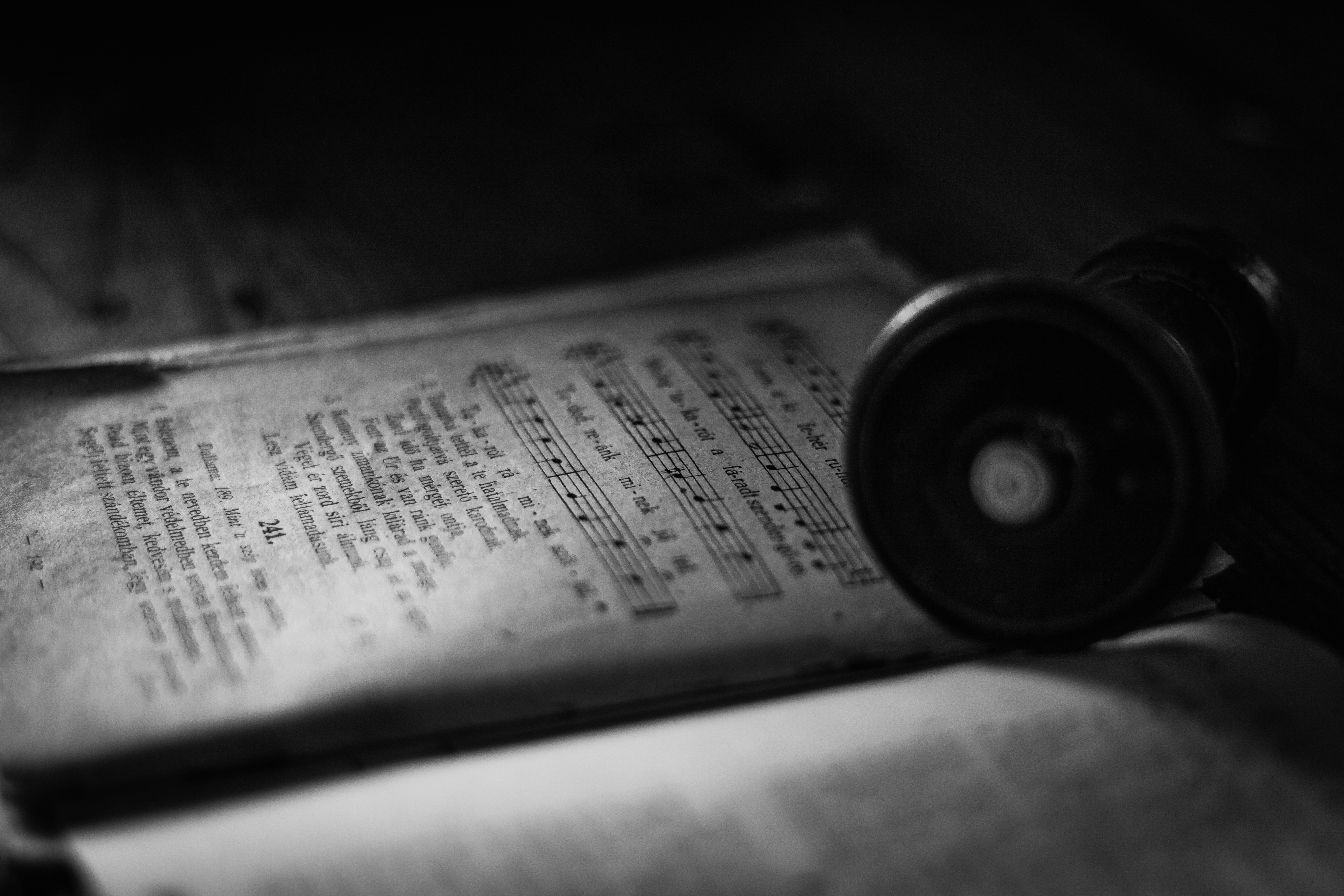 50D 2504